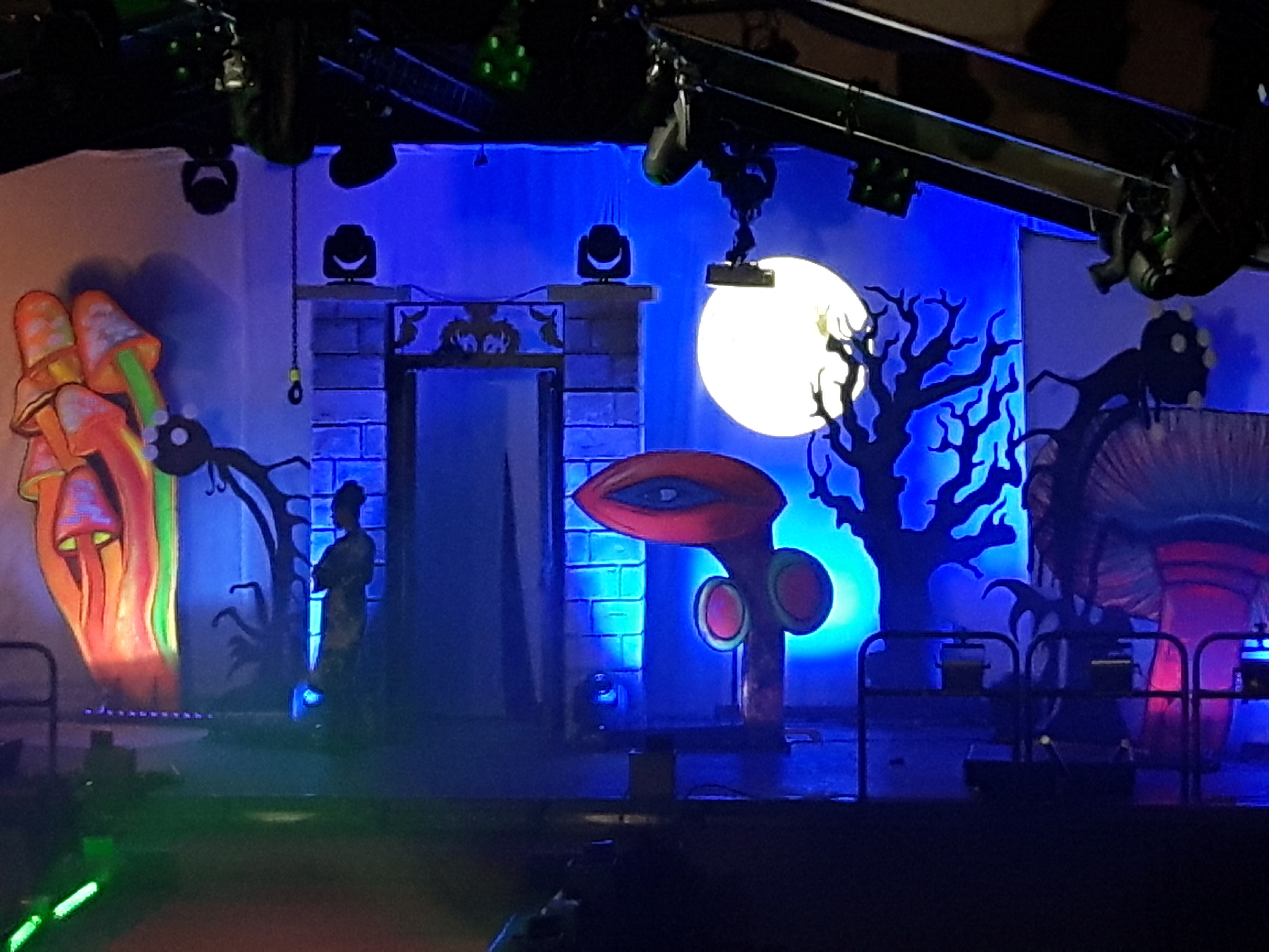 alice in wonderland garden